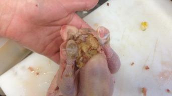 Baby kuřátko plněné parmskou šunkou